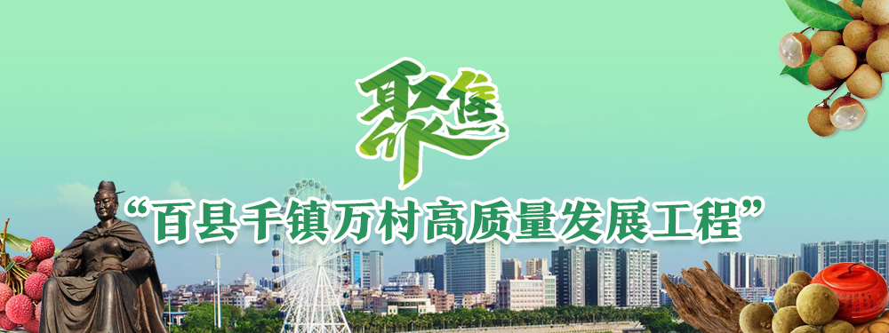聚焦“百縣千鎮萬村高質量發展工程”